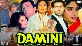 Damini Full Movie Hindi Review & Facts  Meenakshi Seshadri  Sunny Deol  Rishi Kapoor Amrish Puri