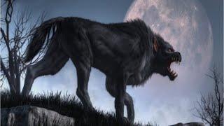 3 Encounters with Hellhounds