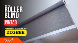 Ordinary Roller Blinds Get Smart Zemismart Roller Blind Motor Zigbee ZM25R3 - Indonesian Smart Home