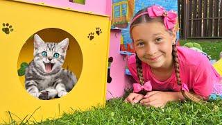 Котенок потерялся София строит игровой домик для домашнего питомца