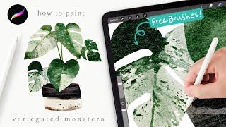 Lets paint a watercolor monstera houseplant 🪴 Procreate tips and tricks for beginners