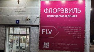 Обзор орхидей в магазине Флорэвиль город Москва
