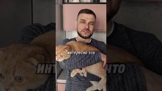 Подарок от подписчиц на день рождения #memes #shortvideo #юмор #шутки #анекдоты  #деньрождения