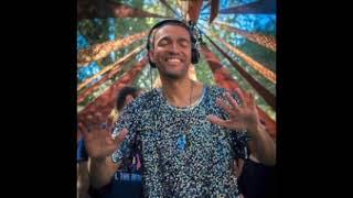 Patrice Baumel Live  Rainbow Serpent Festival 2019 Australia  28-01-2019