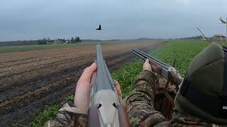 Hunting - Crows Pigeons