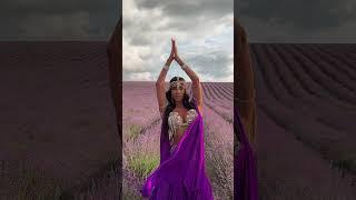 Belly Dance - Margo Sheikh Ali