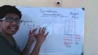 Ion exchange chromatography  cation exchange chromatography and anion exchange chromatography