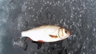 Рыбалка по первому льду видео. Fishing on ice video first