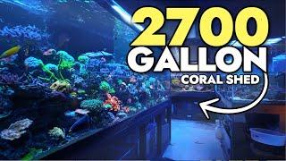 Touring The BEST Hobbyist NPS Aquarium + Stunning Corals And Fish