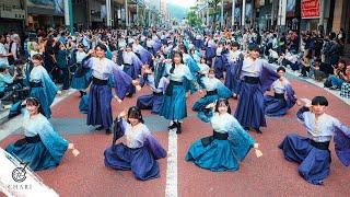 【8K】早稲田大学 東京花火『天つかさ』（湘南よさこい2024  Tokyo Hanabi 2024 “Amatsukasa”）