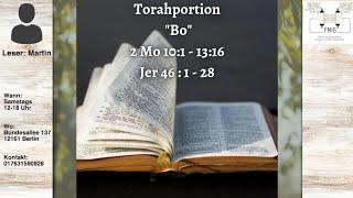 Torahportion Bo geh hinein 2 Mo 101 - 1316 Jer 46