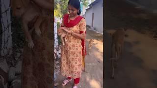 தோட்டத்தில் ஒரு பொழுது … Minivlog  Vennila Veedu #Shorts