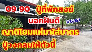 09-90ปู่ที่พักสงฆ์ บอกฝันดี ญาติโยมแห่มาใส่บาตร ปู่วงกลมให้ตัวนี้ 1667