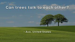 Can trees talk to each other?