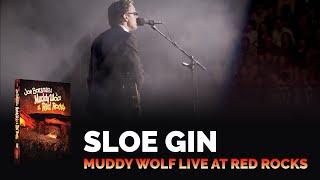 Joe Bonamassa Official - Sloe Gin - Muddy Wolf at Red Rocks