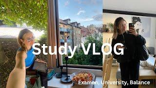 ‍Study VLOG Vorbereitung auf die Prüfungen ️ motiviert produktiv 