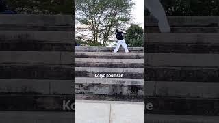 #taekwondo #koryo #koryopoomsae #taegeuk #kata #karate #viral