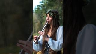The Holly and the Ivy - Celtic Christmas Music #tinwhistle #festive #shorts