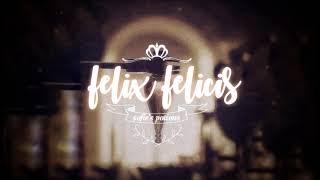  felix felicis  ━ 【liquid luck potion.】powerful subliminal