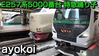 緑色の特急踊り子号 E257系5000番台 51･56号