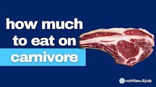 How Much to Eat on a Carnivore Diet for Hormones and Thyroid Macros Calories Protein & Fats