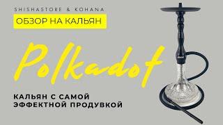 ОБЗОР НА КАЛЬЯН POLKADOT ОТ KOHANA