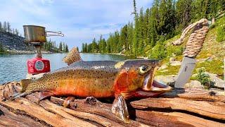 GIANT Trout Catch & Cook in HIGH ALTITUDE Mountain Lake