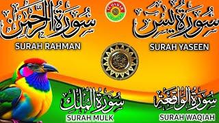 Ep 228 Surah Yaseen  Surah Rahman  Surah Waqiah  Surah Mulk 4 Quls  @IQRAALQURANKARIM