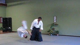 Tenshin Aikido Kokyus