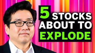 Tom Lee’s Best 5 Stocks to BUY NOW in August 2024 High Growth Stocks 