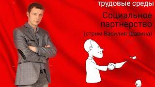 Социальное партнерство стрим Василия Шавина