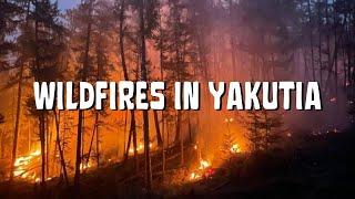 WILDFIRES IN YAKUTIA SIBERIA - #SAVE_YAKUTIA