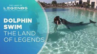 Dolphin Swim  The Land Of Legends