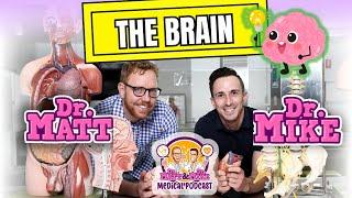 The Brain  Podcast