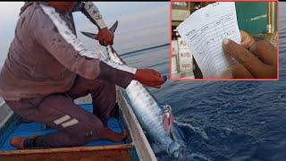 Alhamdulillah untuk hasil hari iniRejeki tonda tengiri memakai umpan Kain sutra#traditionalfishing