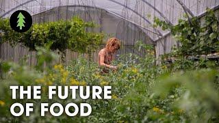 Organic Regenerative Farming is the Future of Agriculture  The Future of Food