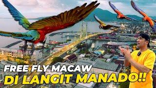 TERJAUHH NIH.. FREE FLY DIATAS LANGIT MANADO 