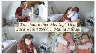 Chaos am Montag  Reborn- Mama Alltag  Vlog  Reborn Baby Deutsch  Little Reborn Nursery