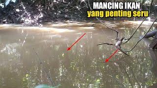 sungai ajaib pancing di keroyok ikan sampai kualahan