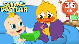 Hapşu Sevimli Dostlar Bebek Şarkıları  Çocuk şarkıları  Adisebaba TV Nursery Rhymes