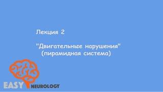 Общая неврология. Лекция 2 Двигательные нарушения пирамидная система