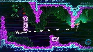 TAS Celeste Any% with Infinite Jumps in 47 dashes