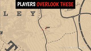 You Passed Here 100+ Times But Never Noticed These - RDR2