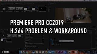 Premiere Pro CC2019 H.264 Problem & workaround by Chung Dha
