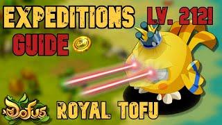 DOFUS - EXPEDITIONS ARE BACK - Royal Tofu Guide  8 loot 