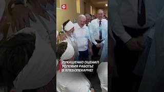 Лукашенко оценил условия работы в хлебопекарне Архив #лукашенко #новости #политика #беларусь