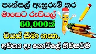 jobs in sri lanka  new job vacancy  job vacancy 2023  පැන්සල් ඇසුරුම් කර මාසෙට 60000හොයමු