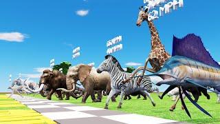 Mega Race 45 Wild Animals which is the fastest animal?  CookieNey