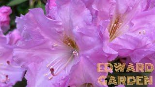 Edwards Gardens 4K Toronto Botanical Garden Cinematic tour