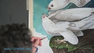 White Gyrfalcons - Audubon  Art Reproduction Oil Painting